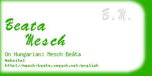 beata mesch business card